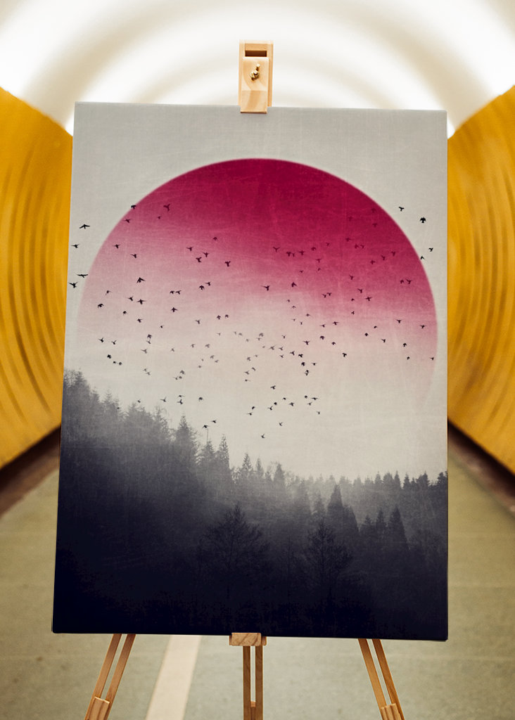 Rising - Vögel über Nebelwald