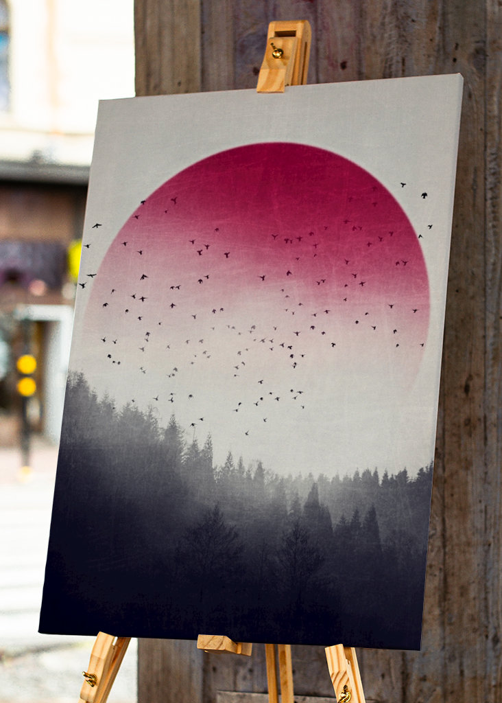 Rising - Vögel über Nebelwald