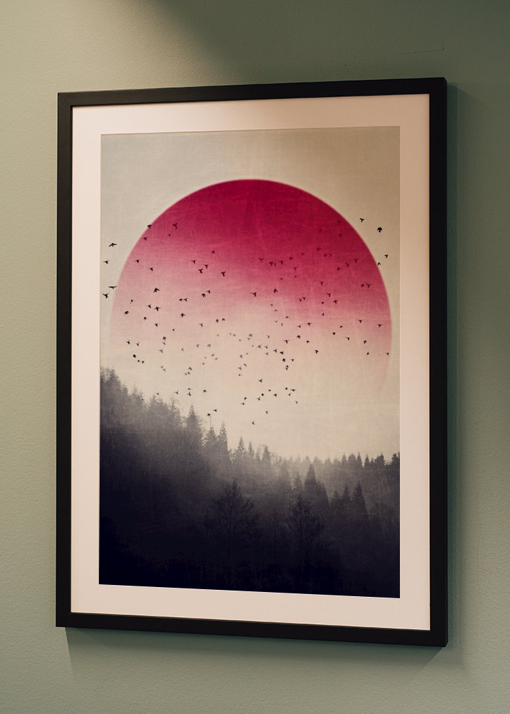 Rising - Vögel über Nebelwald