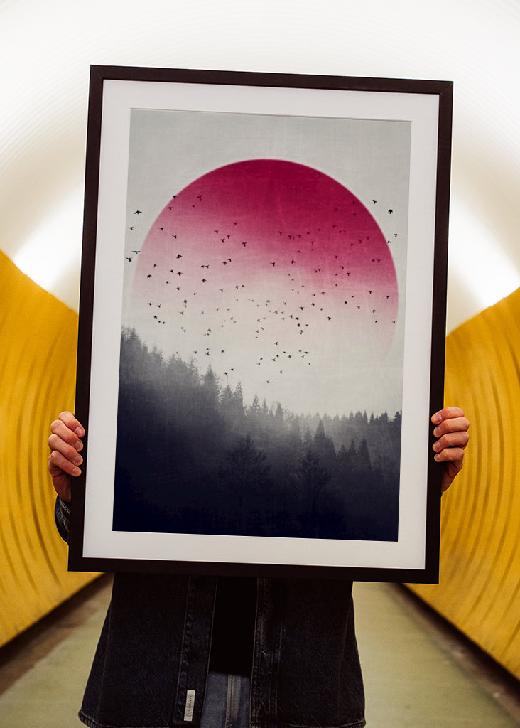 Rising - Vögel über Nebelwald