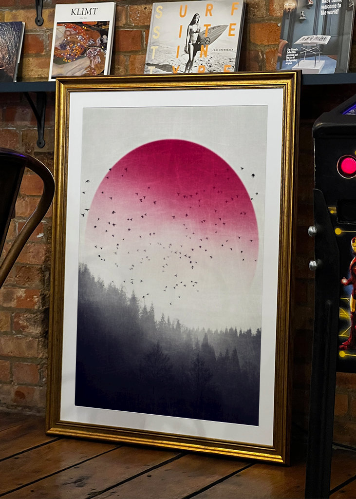 Rising - Vögel über Nebelwald