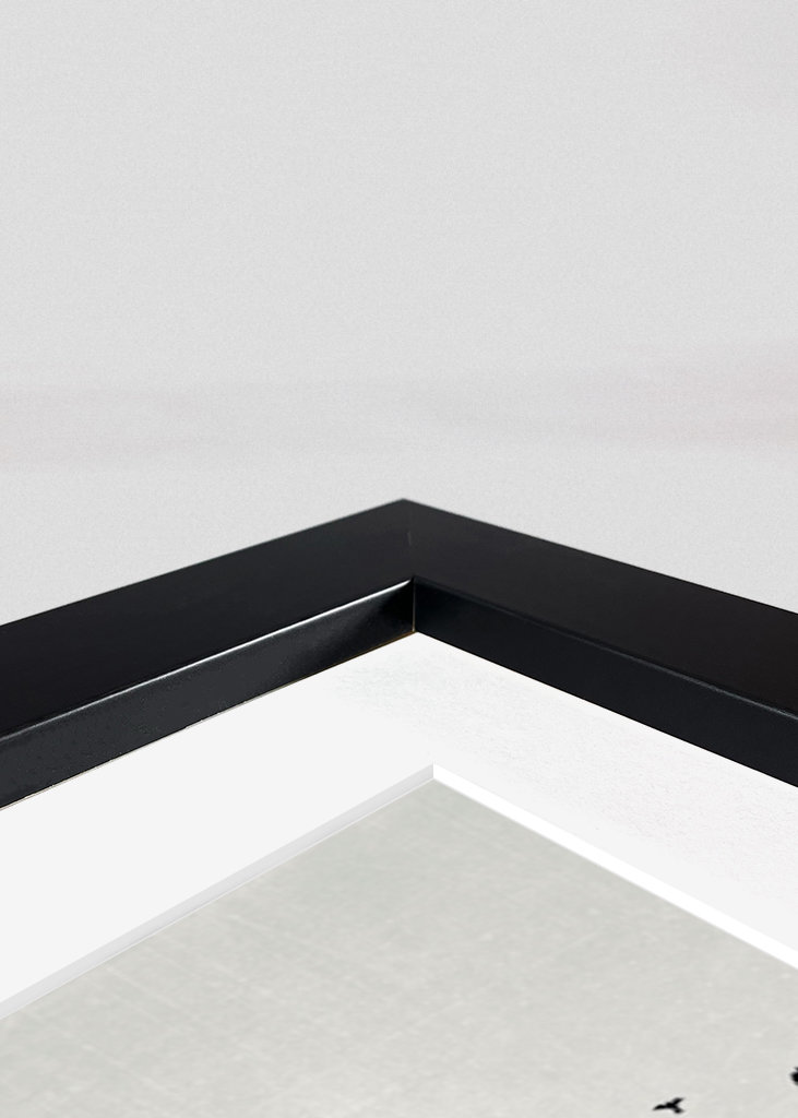 Rising - Vögel über Nebelwald