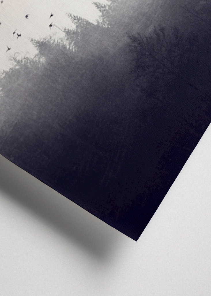 Rising - Vögel über Nebelwald