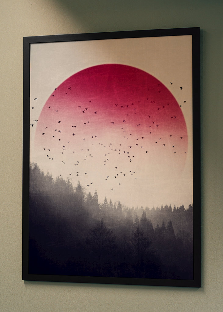 Rising - Vögel über Nebelwald