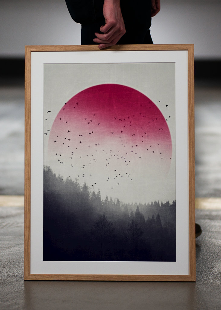 Rising - Vögel über Nebelwald