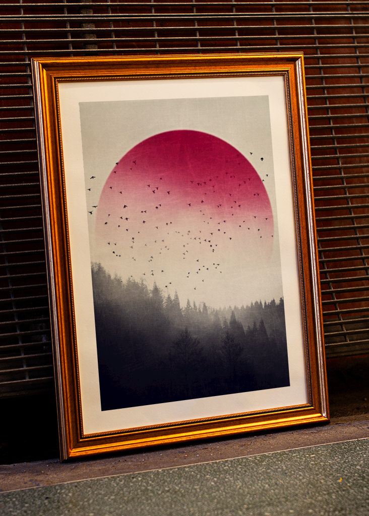 Rising - Vögel über Nebelwald