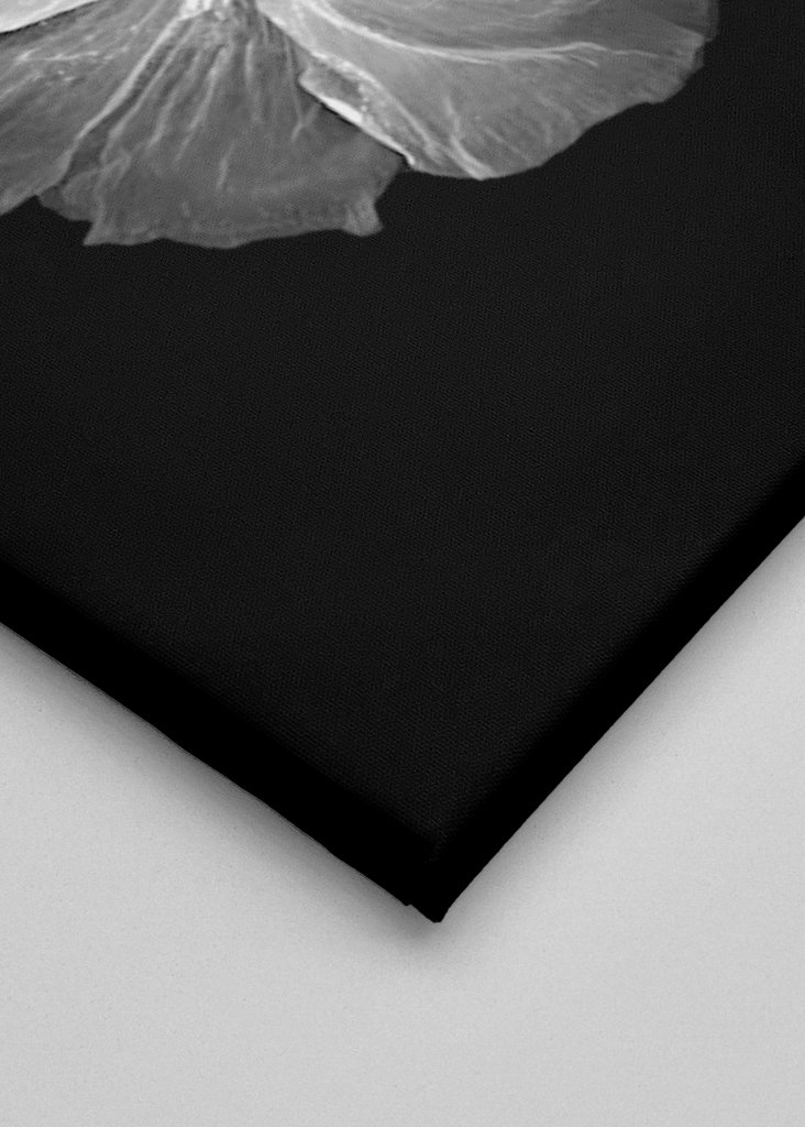 Čierna biela kvetina výtvarného umenia