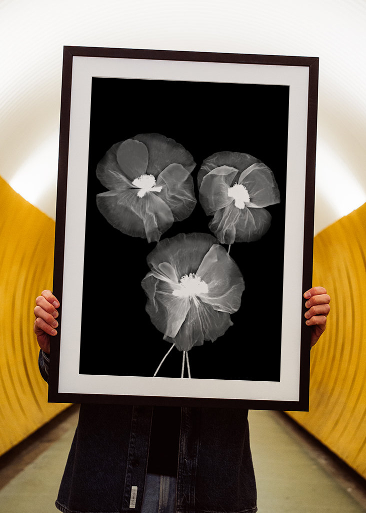 Čierna biela kvetina výtvarného umenia