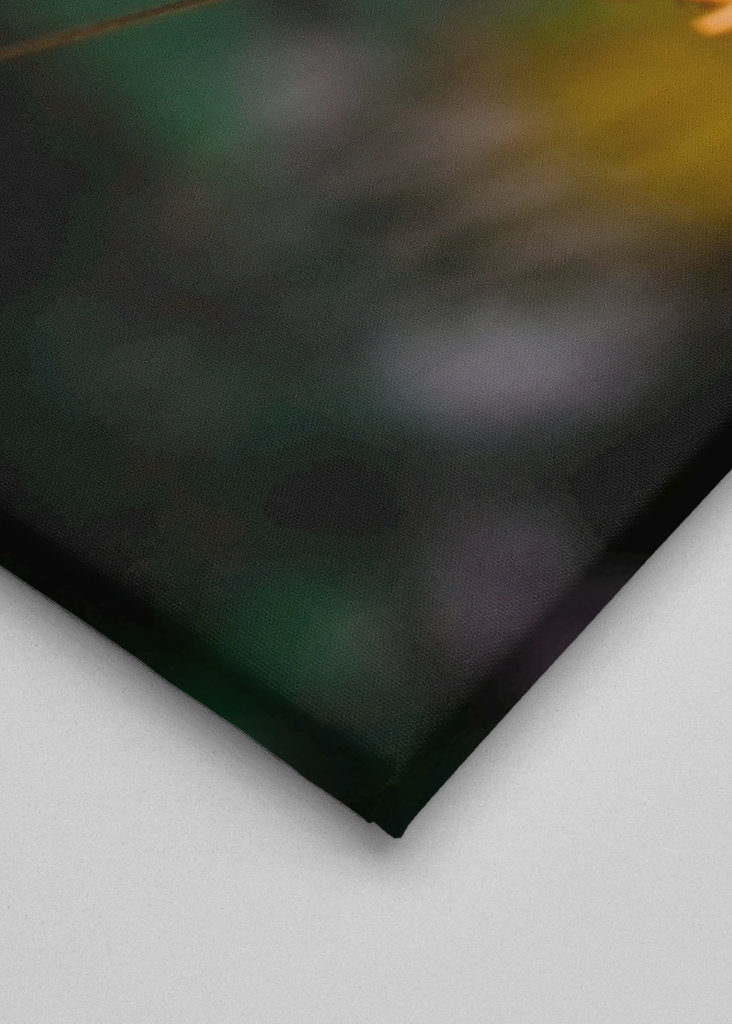 Flor silvestre amarilla en verano