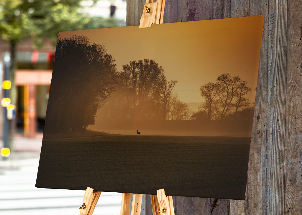 Srnec při východu slunce