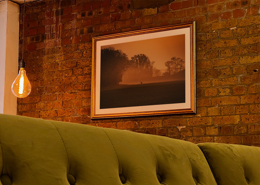 Srnec při východu slunce