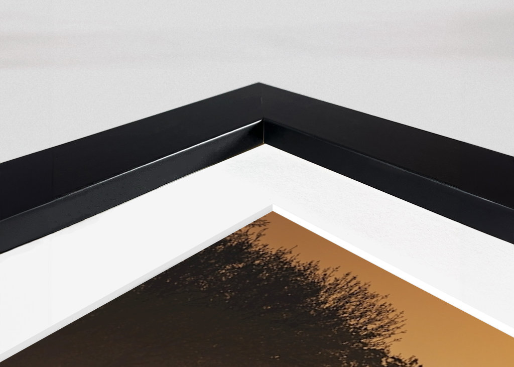 Srnec při východu slunce