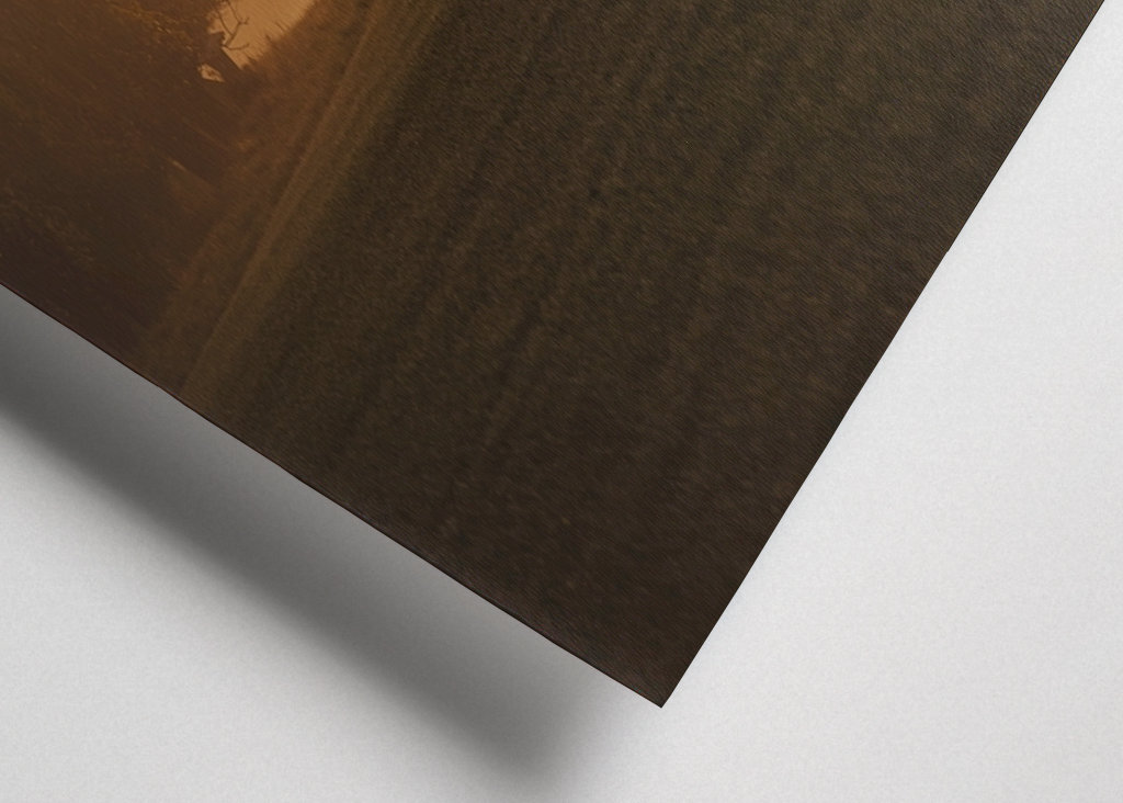 Srnec při východu slunce