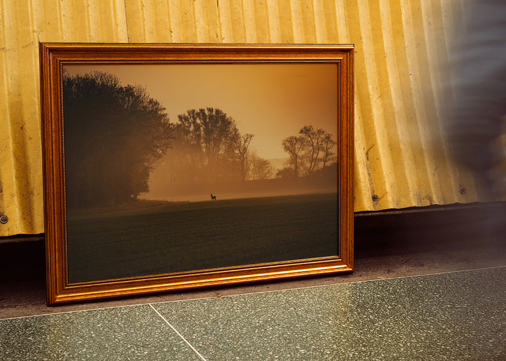 Srnec při východu slunce