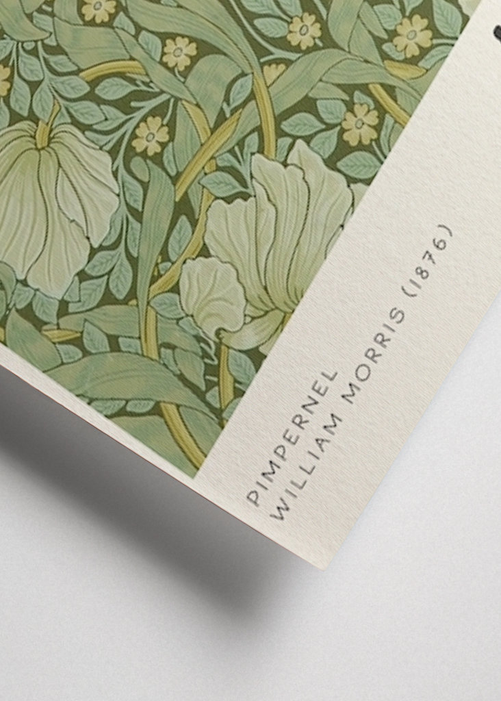 Pimpernel - William Morris