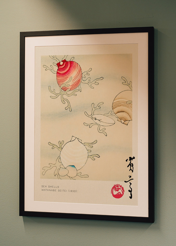 Sea Shells - Watanabe Seitei
