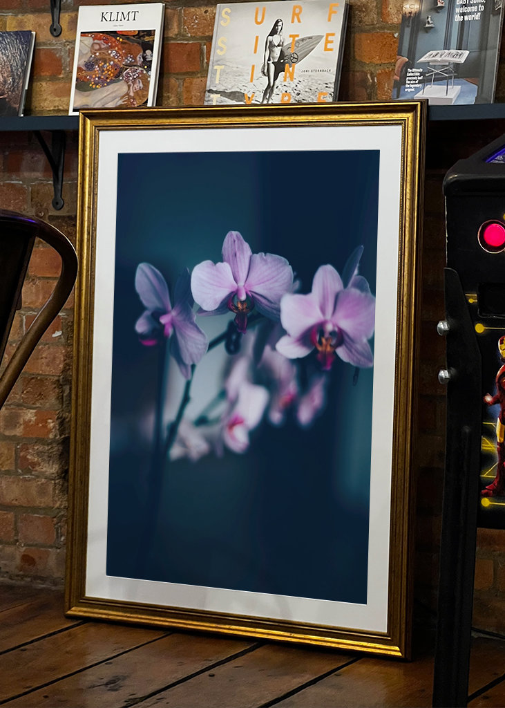 Phalaenopsis Brudorkidé