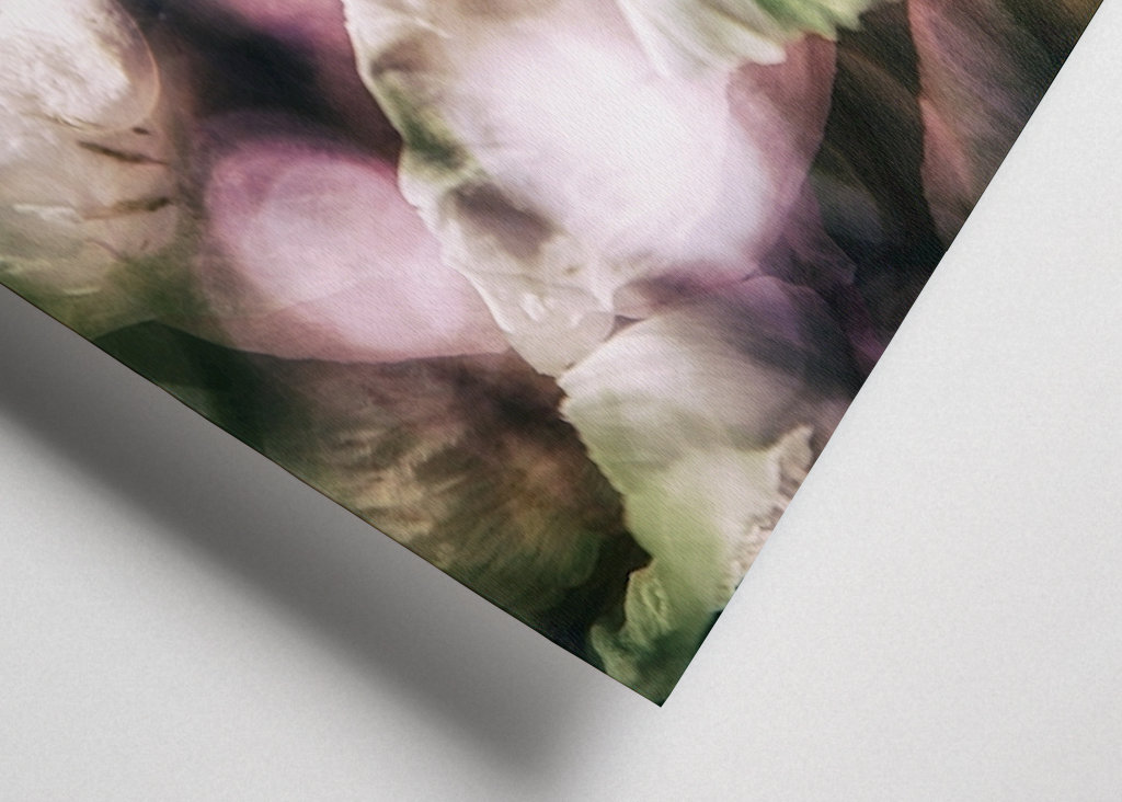 La peonía a la luz del sol