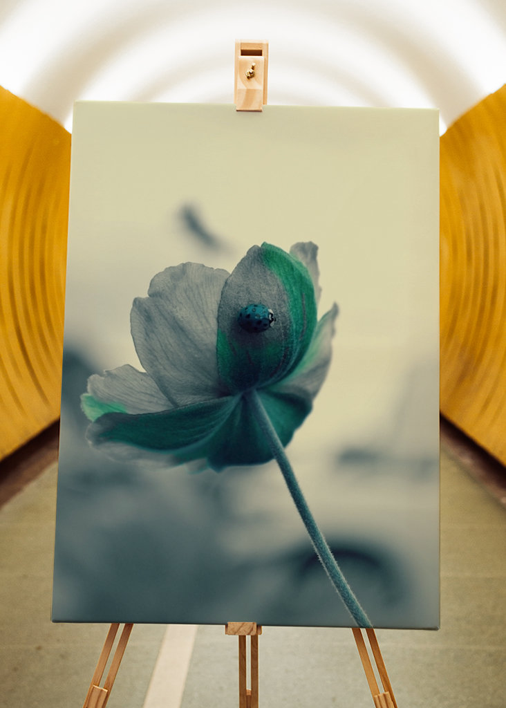 Lieveheersbeestje in blauw