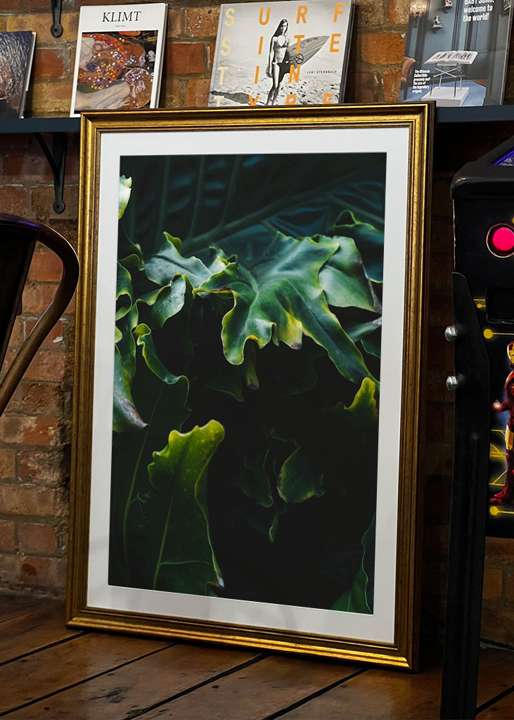 Desert Garden, Philodendron