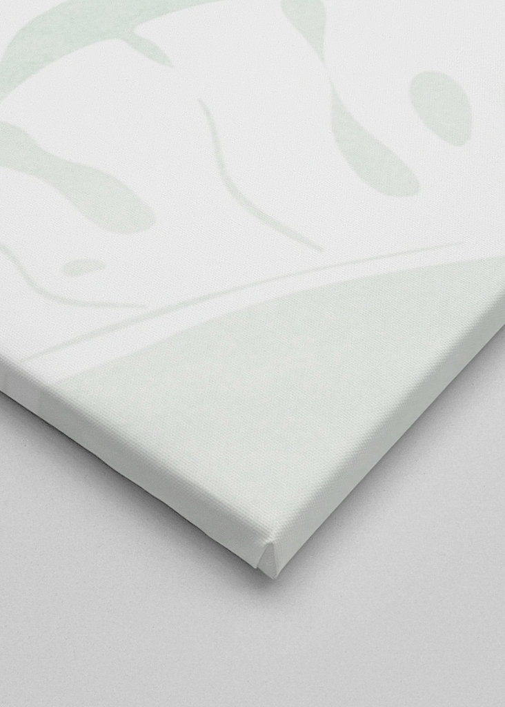 Botanical Illustration