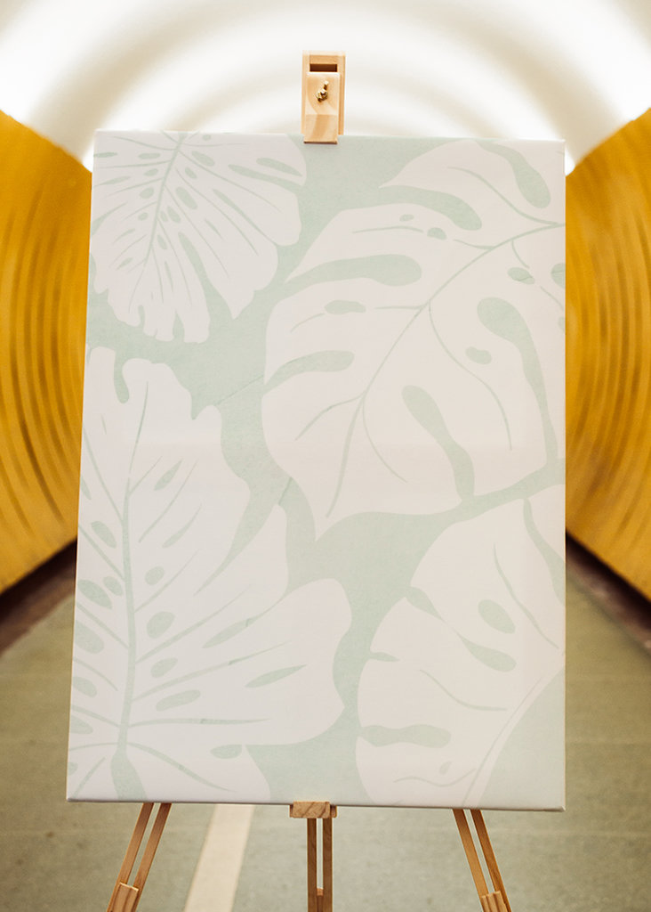 Botanical Illustration