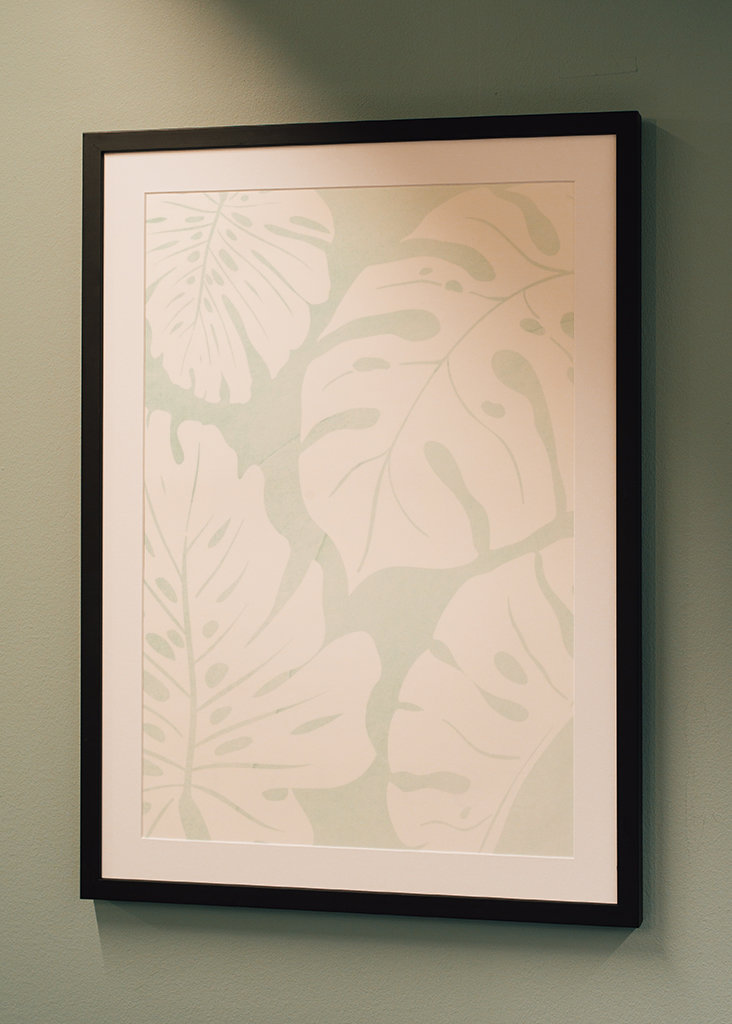 Botanical Illustration