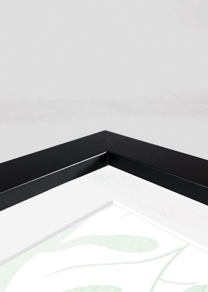 Botanical Illustration