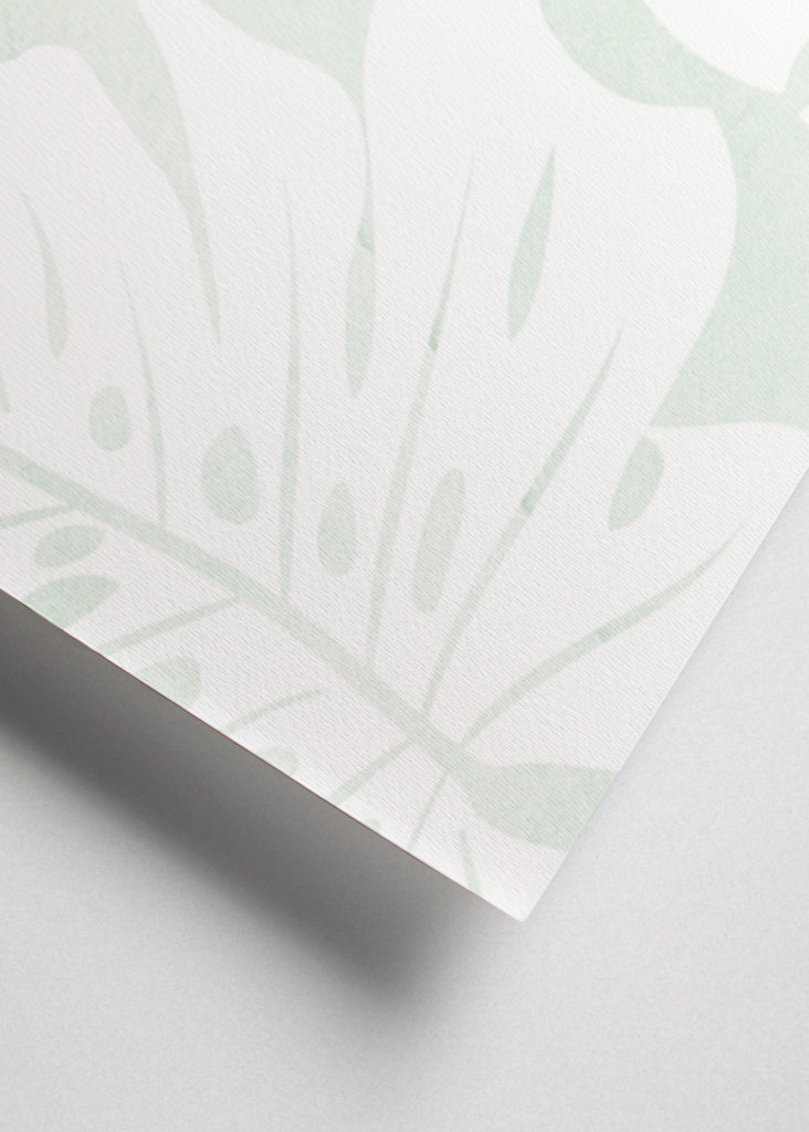 Botanical Illustration