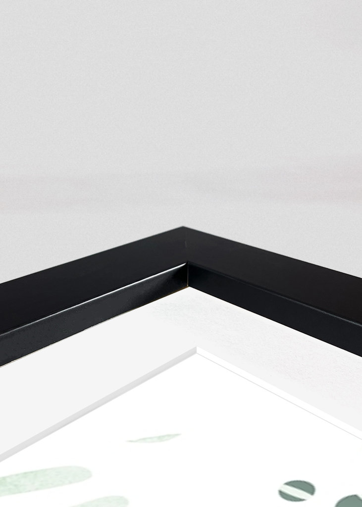 Botanik Illustration