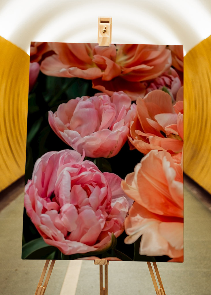 Rosa und orangefarbene Blüten