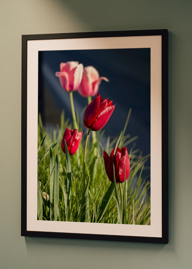 Der Frühling bringt Leben zum Blühen