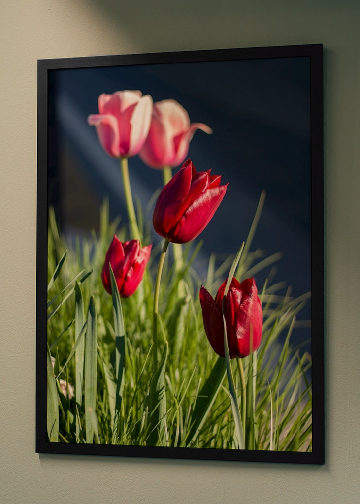 Der Frühling bringt Leben zum Blühen