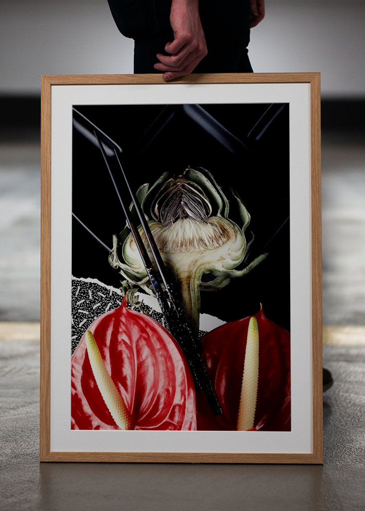 flamingo with artichoke