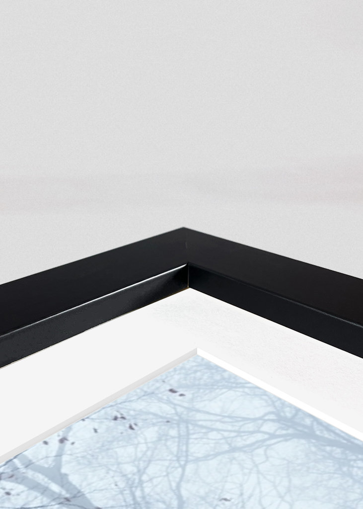 Autumn Woodland Silence