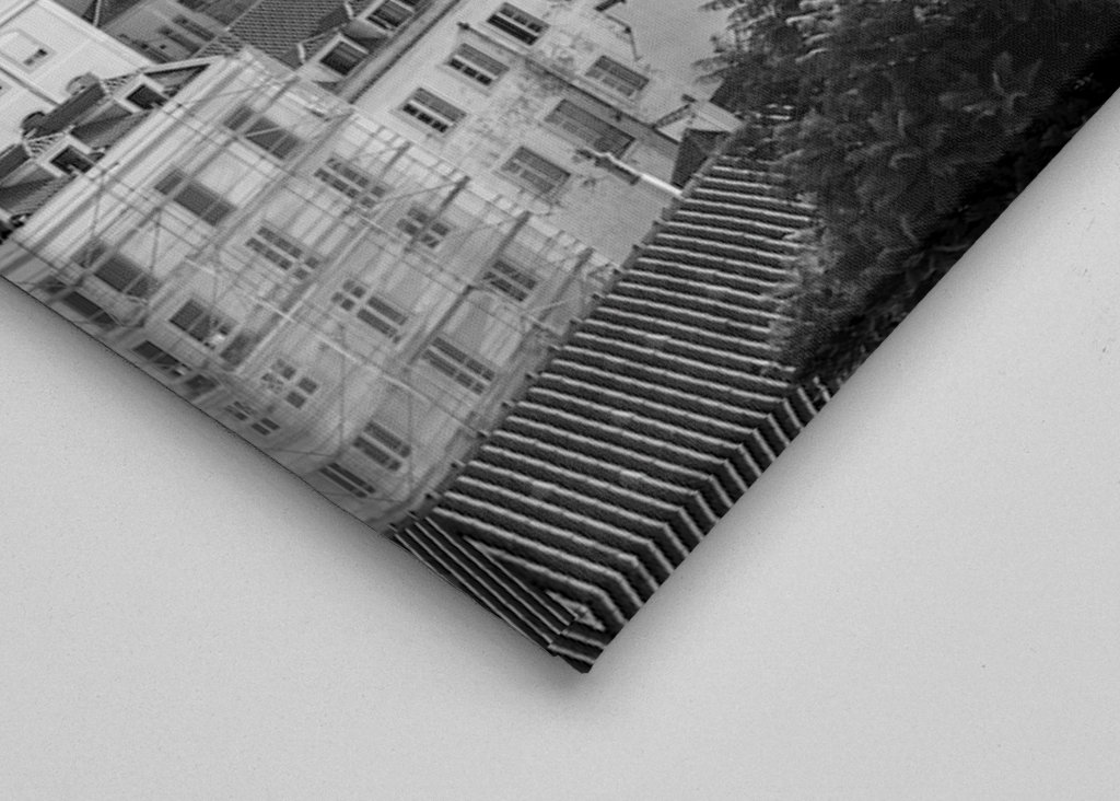 Palmtree om sommeren