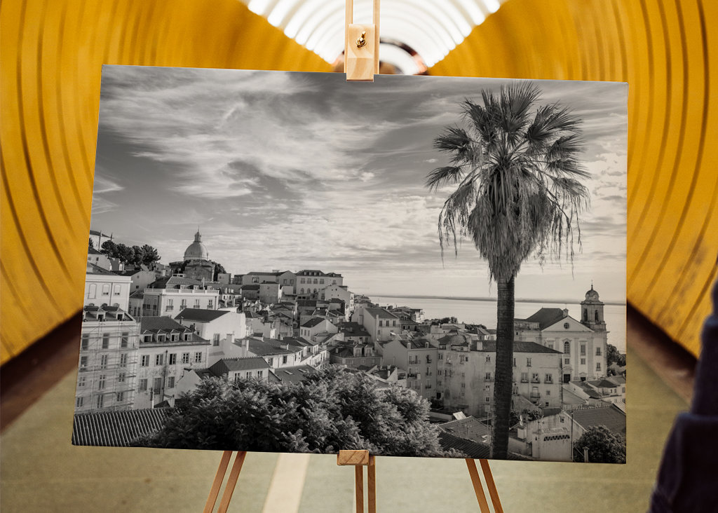 Palmtree om sommeren