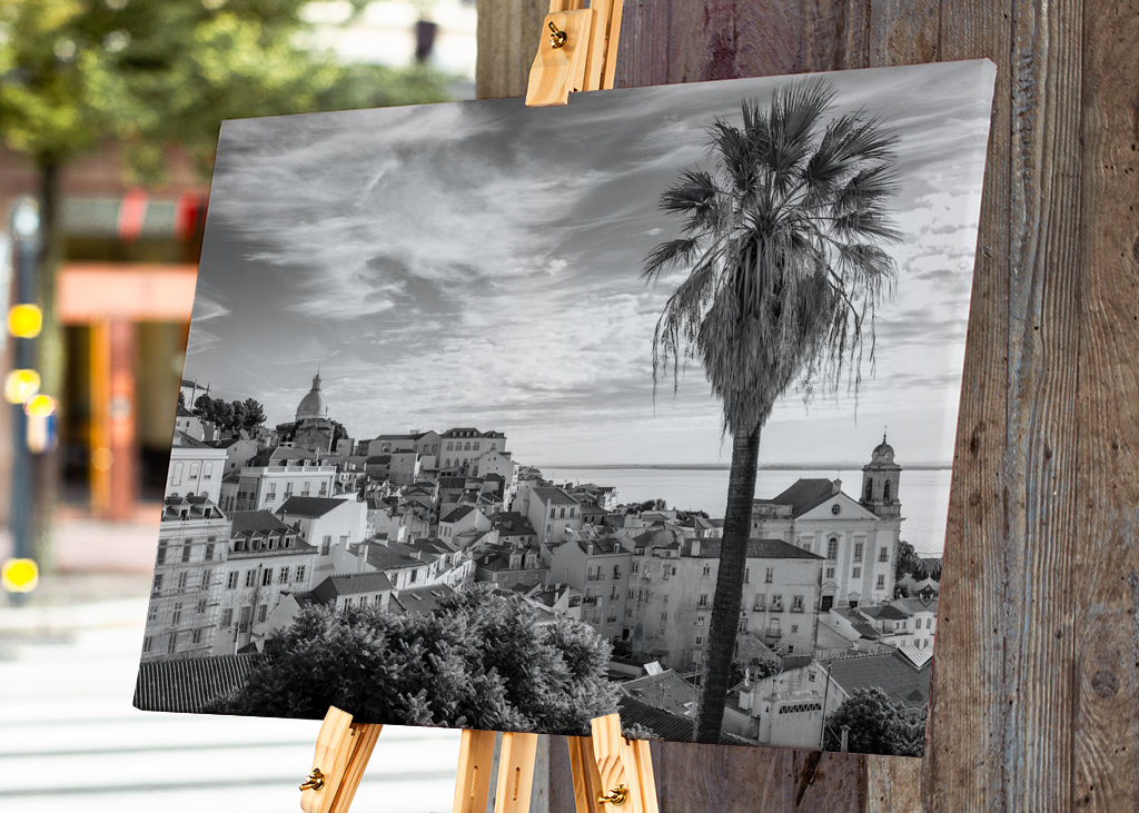 Palmtree om sommeren