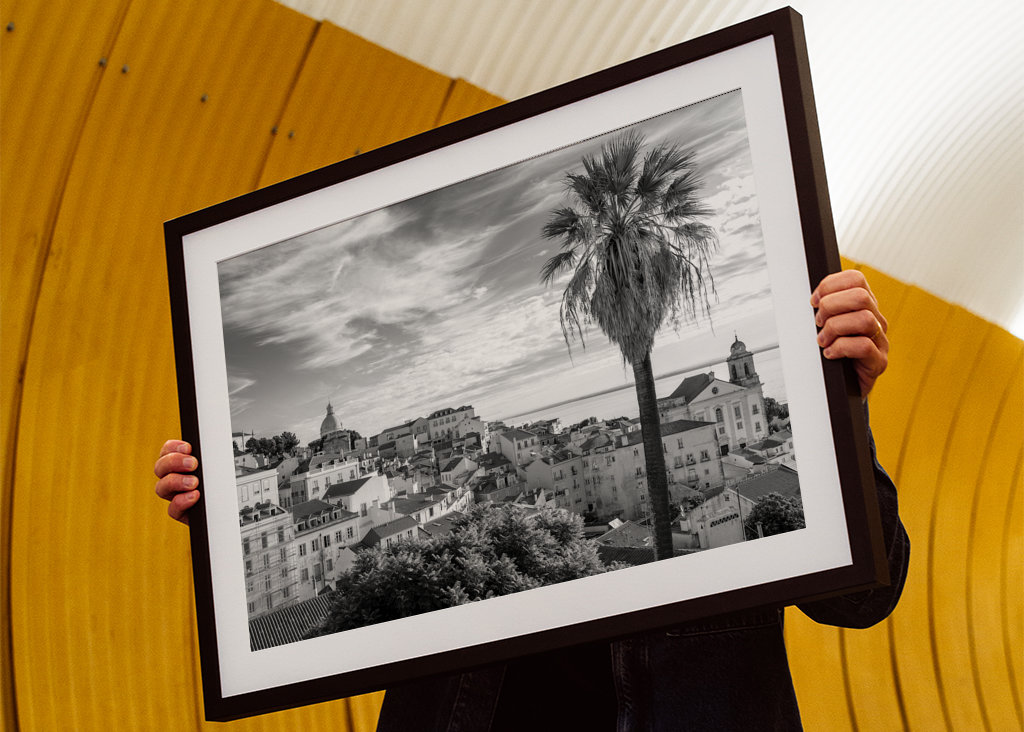 Palmtree om sommeren