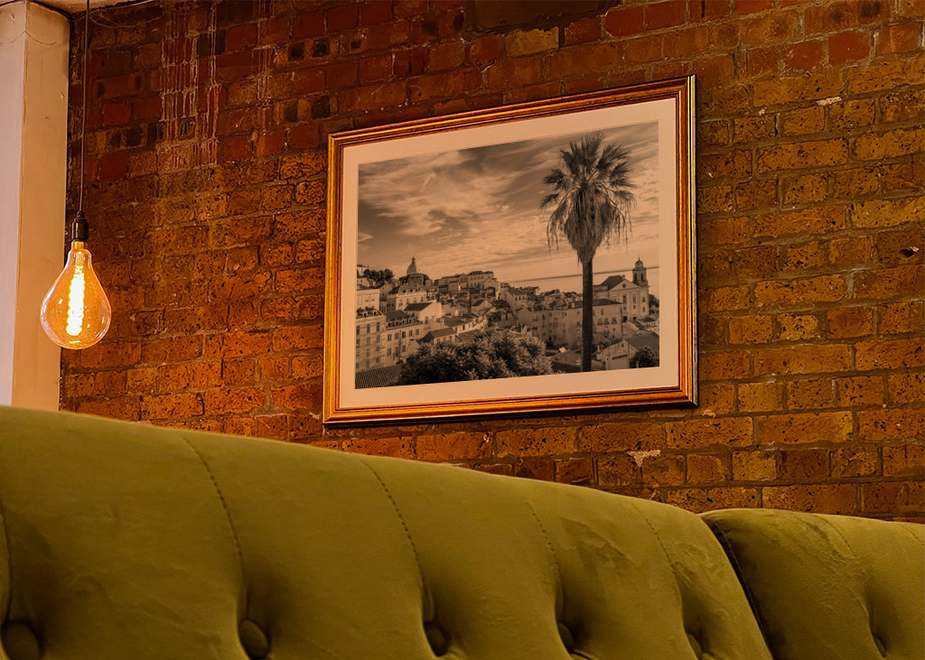 Palmtree om sommeren