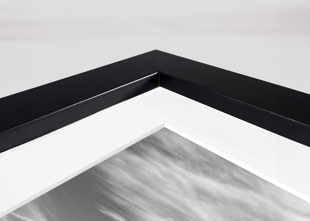 Palmtree om sommeren