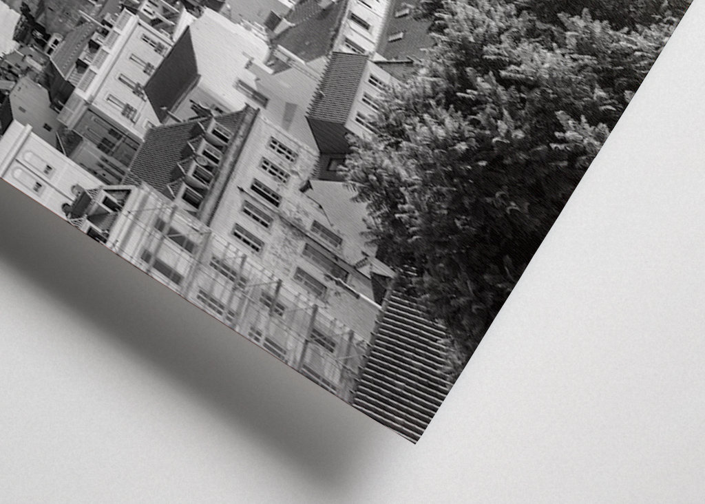 Palmtree om sommeren