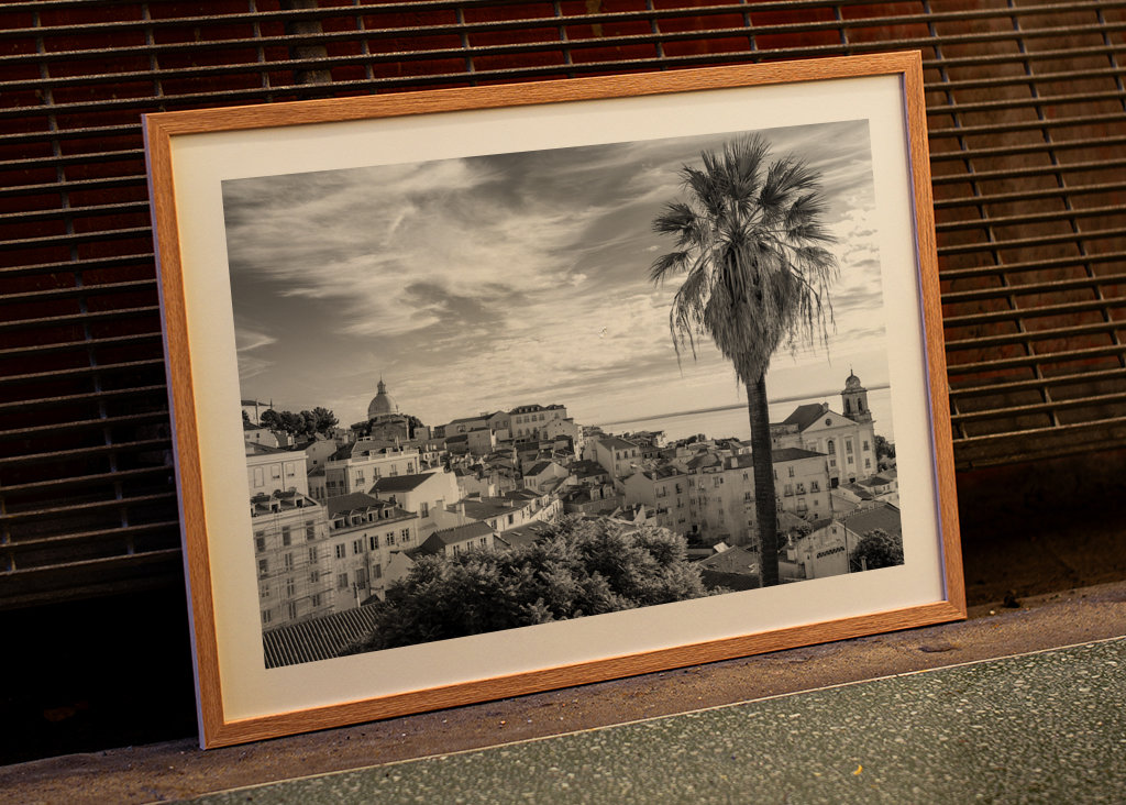 Palmtree om sommeren