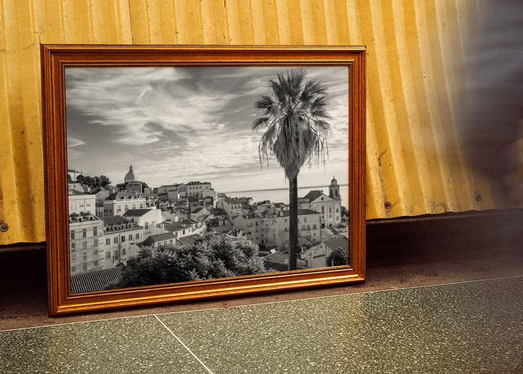 Palmtree om sommeren