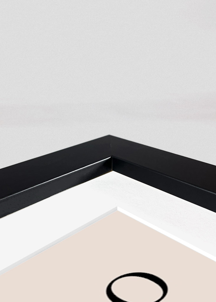 Plakát Picassa Lejona