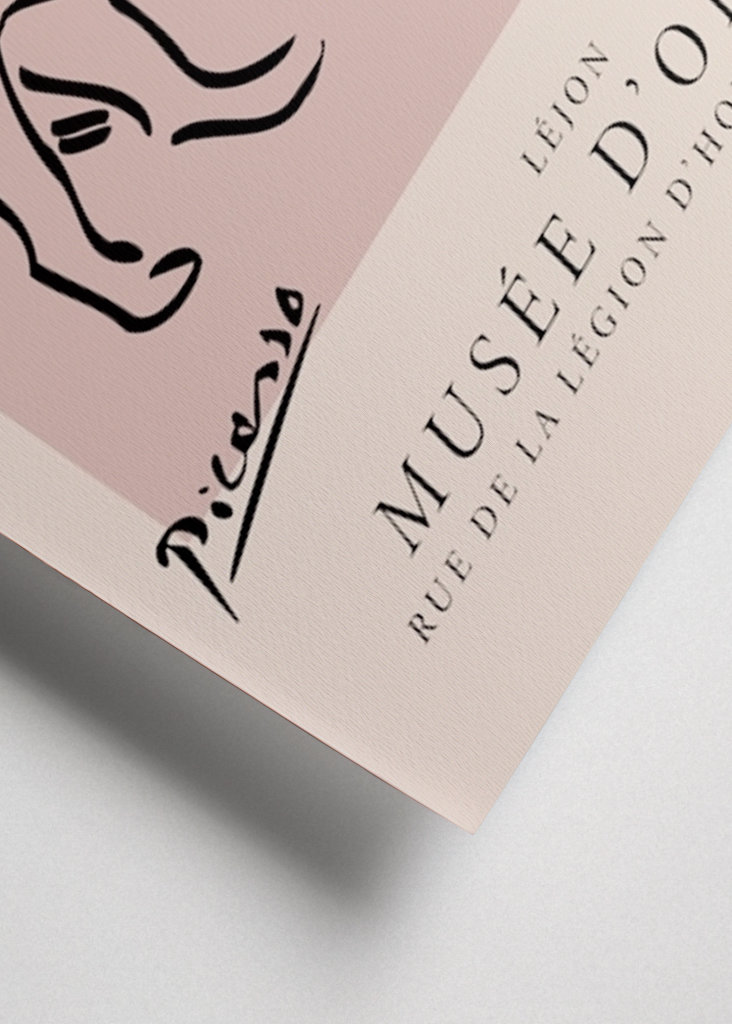 Plakát Picassa Lejona