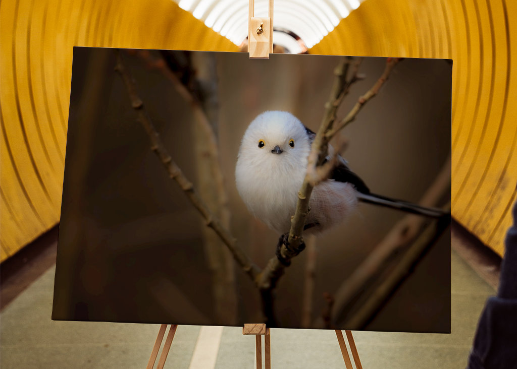 - les yeux dans les yeux