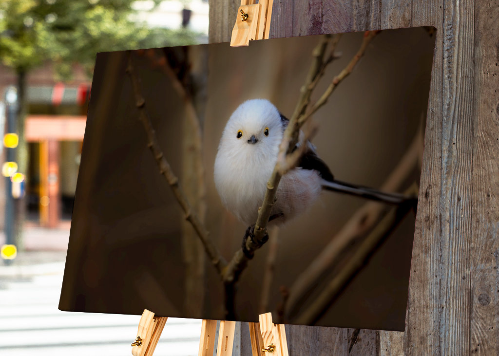 - les yeux dans les yeux
