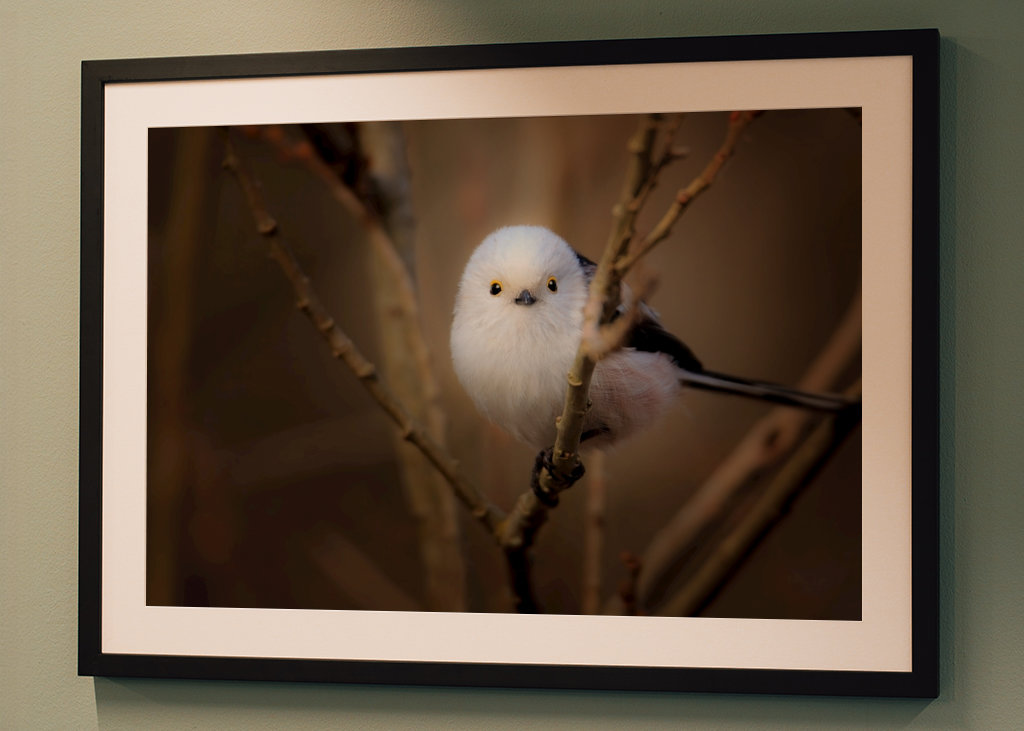- les yeux dans les yeux