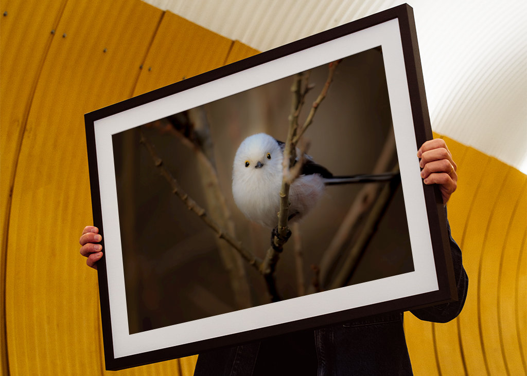 - les yeux dans les yeux